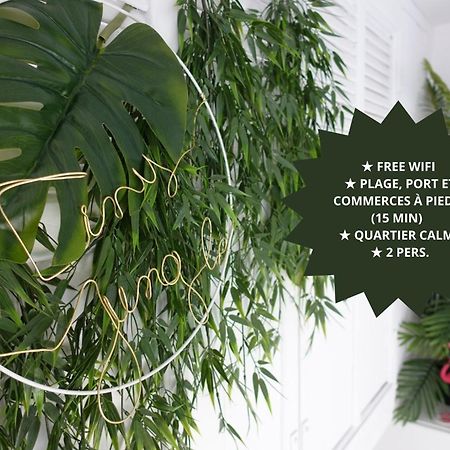 *Tiny Jungle* / Plage, Port Et Commerces A Pied 索塞莱潘 外观 照片