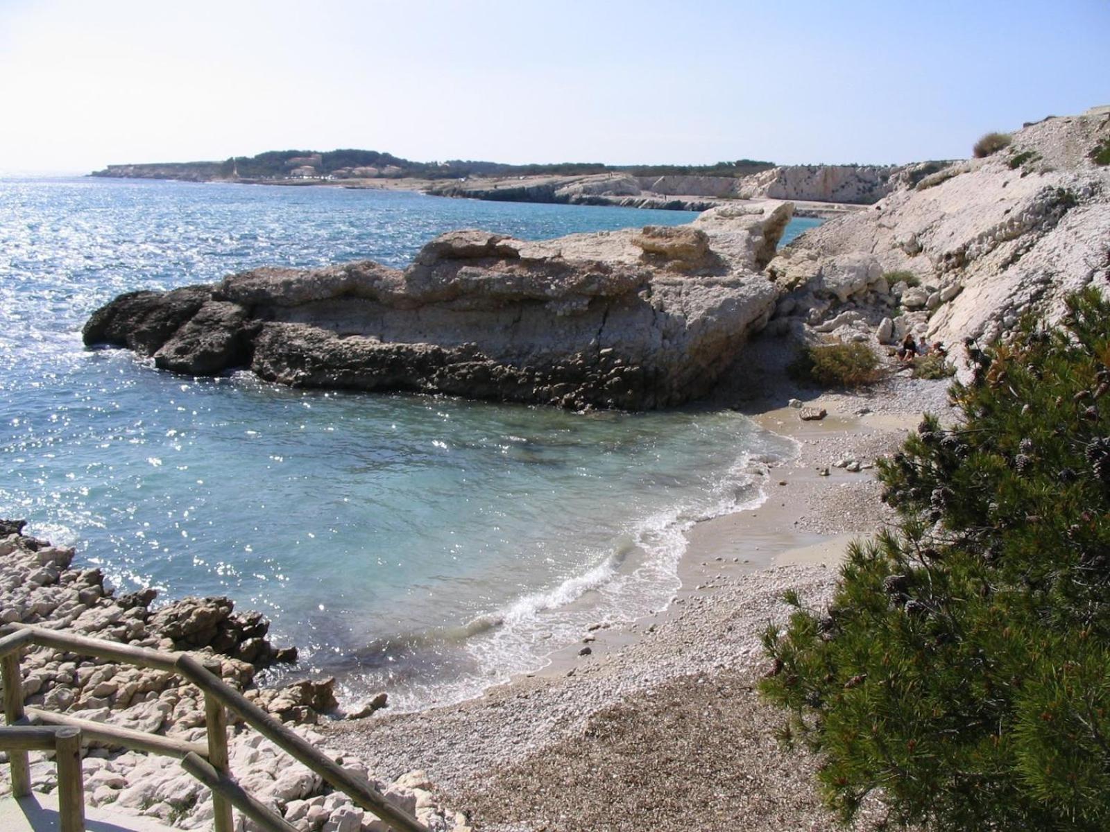 *Tiny Jungle* / Plage, Port Et Commerces A Pied 索塞莱潘 外观 照片